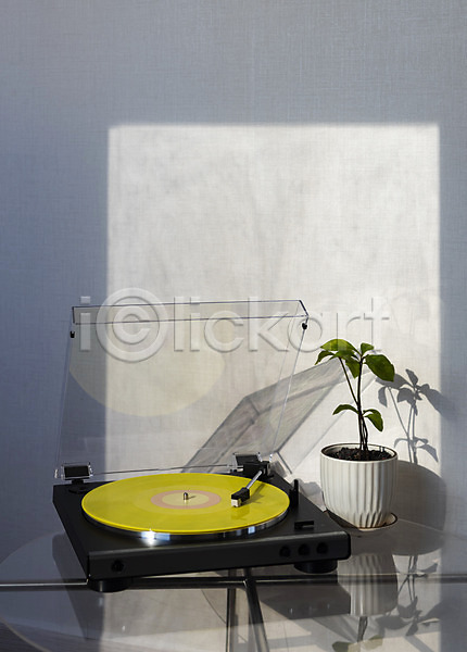 사람없음 JPG 포토 뉴트로 레코드판 복고 식물 실내 창가 턴테이블 햇빛 화분