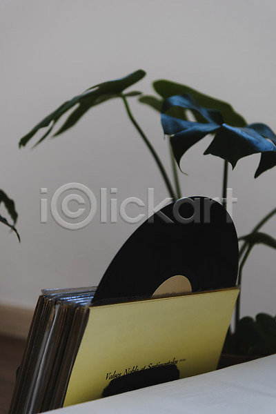 사람없음 JPG 포토 뉴트로 레코드판 복고 식물 실내 창가 햇빛 화분