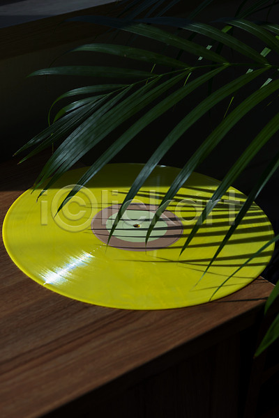 사람없음 JPG 포토 나무배경 나뭇잎 뉴트로 레코드판 복고 서랍장 식물 실내 창가 햇빛 화분