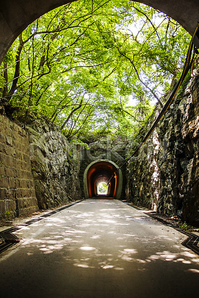 사람없음 JPG 포토 경상남도 국내여행 그림자 길 나무 밀양 야외 주간 터널 풍경(경치)