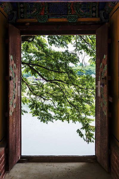 사람없음 JPG 포토 경상남도 국내여행 나뭇가지 나뭇잎 밀양 야외 주간 풍경(경치) 한옥