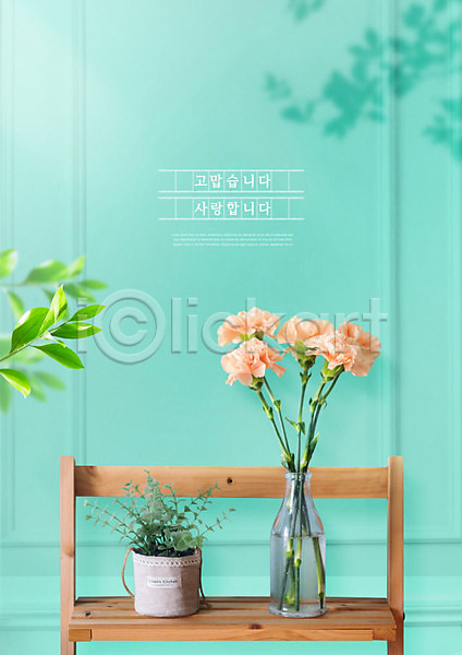 감사 사람없음 PSD 편집이미지 5월 가정의달 꽃병 나뭇잎 민트색 의자 카네이션 화분