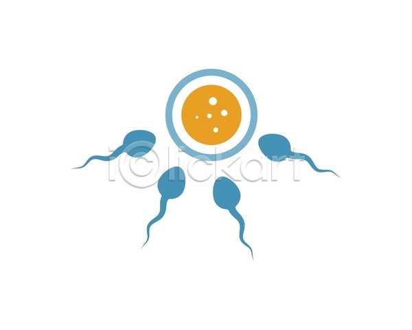 사람없음 EPS 일러스트 해외이미지 과학 난자 디자인 심볼 임신 정자(생식세포) 해외202105