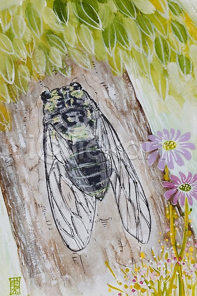 JPG 일러스트 계절 곤충 꽃 나무 두송이 매미 백그라운드 보라색 시화 식물 여름(계절) 자연