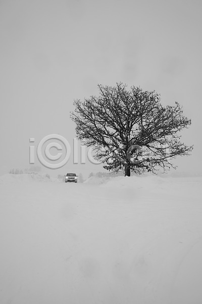 사람없음 2010년일본 JPG 포토 해외기획촬영 겨울 계절 길 나무 눈(날씨) 도로 비에이 설경 설원 식물 야외 일본 자동차 자연 주간 풍경(경치) 홋카이도