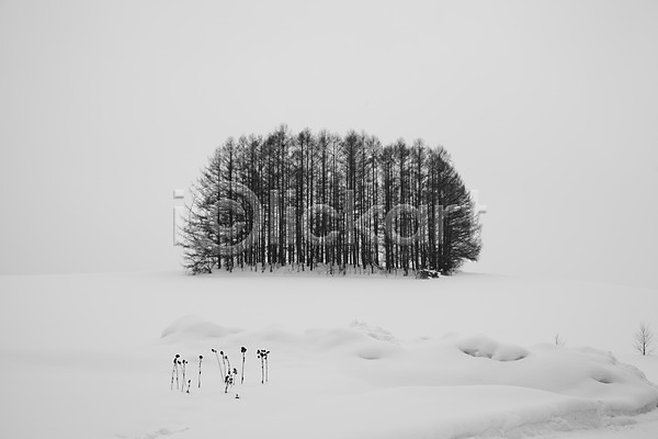 사람없음 2010년일본 JPG 포토 해외기획촬영 겨울 계절 나무 눈(날씨) 마일드세븐나무 비에이 설경 설원 식물 야외 일본 자연 주간 풍경(경치) 홋카이도