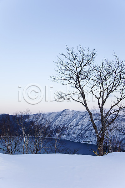 사람없음 2010년일본 JPG 포토 해외기획촬영 겨울 계절 나무 눈(날씨) 마슈호 산 설경 설원 식물 아칸국립공원 야외 일본 자연 주간 풍경(경치) 호수 홋카이도
