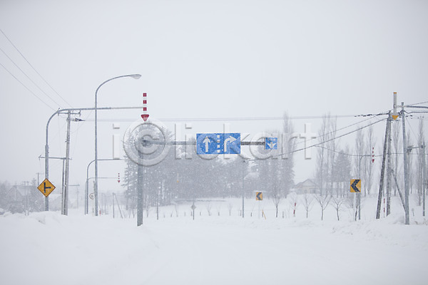 사람없음 2010년일본 JPG 포토 해외기획촬영 가로등 겨울 계절 길 나무 눈(날씨) 도로 도로표지판 비에이 설경 설원 식물 야외 일본 자연 주간 표지판 풍경(경치) 홋카이도