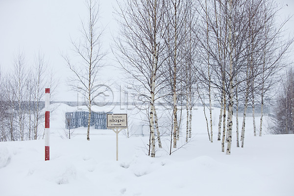 사람없음 2010년일본 JPG 포토 해외기획촬영 겨울 계절 나무 눈(날씨) 비에이 설경 설원 식물 야외 일본 자연 자작나무 주간 팻말 풍경(경치) 홋카이도