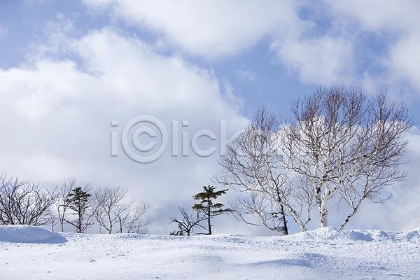 사람없음 2010년일본 JPG 포토 해외기획촬영 겨울 계절 구름(자연) 나무 눈(날씨) 비호로토게 설경 설원 식물 아칸국립공원 야외 언덕 일본 자연 주간 풍경(경치) 하늘 홋카이도