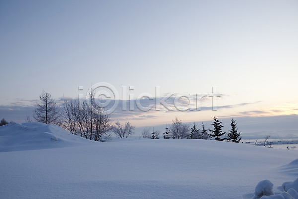 사람없음 2010년일본 JPG 포토 해외기획촬영 겨울 계절 구름(자연) 나무 눈(날씨) 설경 설원 식물 야외 일본 자연 주간 풍경(경치) 하늘 홋카이도