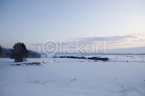 사람없음 2010년일본 JPG 포토 해외기획촬영 겨울 계절 구름(자연) 나무 눈(날씨) 설경 설원 숲 식물 야외 일본 자연 주간 풀(식물) 풍경(경치) 하늘 홋카이도