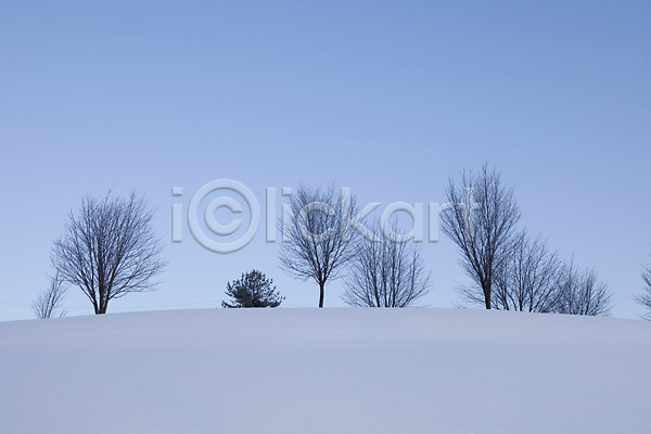 사람없음 2010년일본 JPG 포토 해외기획촬영 겨울 계절 나무 눈(날씨) 설경 설원 식물 야외 언덕 일본 자연 주간 풍경(경치) 하늘 홋카이도