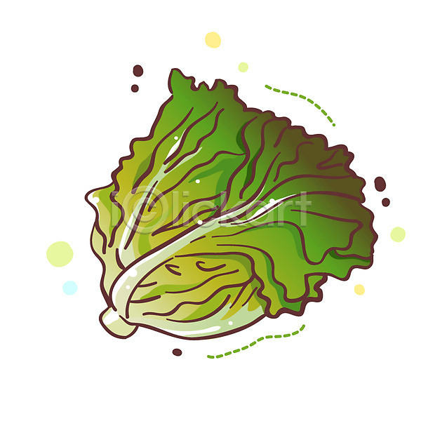 사람없음 EPS 식물아이콘 아이콘 큐티아이콘 1 상추 식물 식재료 채소 한개
