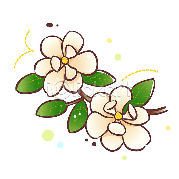 사람없음 EPS 식물아이콘 아이콘 큐티아이콘 꽃 두송이 목련 봄꽃 식물 잎 흰색
