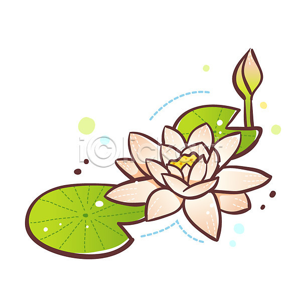 사람없음 EPS 식물아이콘 아이콘 큐티아이콘 꽃 두송이 분홍색 식물 여름꽃 연꽃(꽃) 연잎 잎