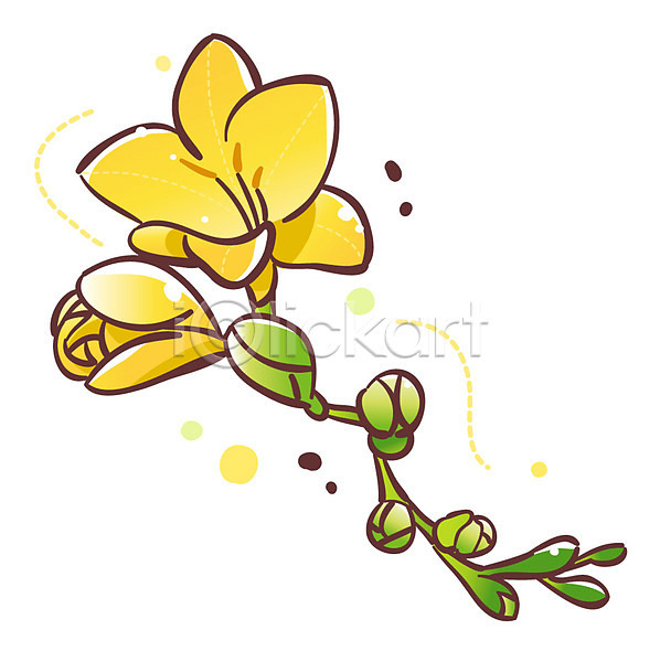 사람없음 EPS 식물아이콘 아이콘 큐티아이콘 겨울꽃 꽃 노란색 두송이 식물 프리지어