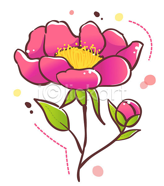 사람없음 EPS 식물아이콘 아이콘 큐티아이콘 꽃 봄꽃 분홍색 식물 잎 작약 한송이