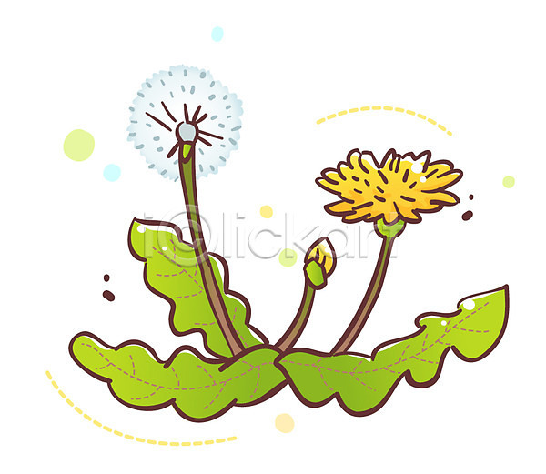 사람없음 EPS 식물아이콘 아이콘 큐티아이콘 꽃 노란색 두송이 민들레 민들레홀씨 봄꽃 식물 잎