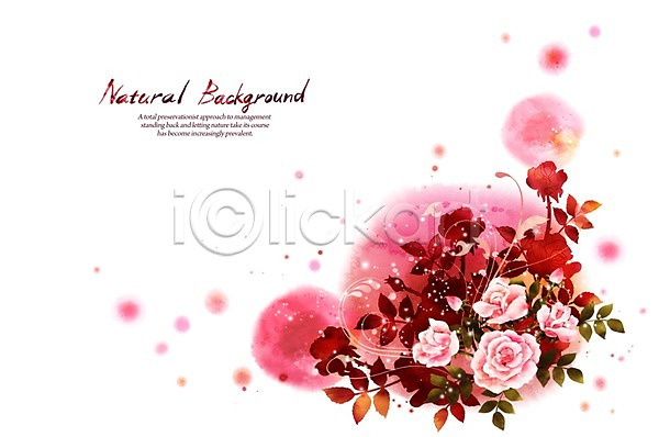 사람없음 PSD 실루엣 일러스트 꽃 내추럴 덩굴 백그라운드 분홍색 붓터치 선 식물 자연 장미 캘리그라피