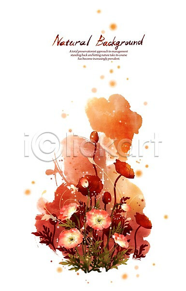 사람없음 PSD 실루엣 일러스트 꽃 내추럴 덩굴 백그라운드 붓터치 빨간색 선 식물 양귀비 자연 캘리그라피
