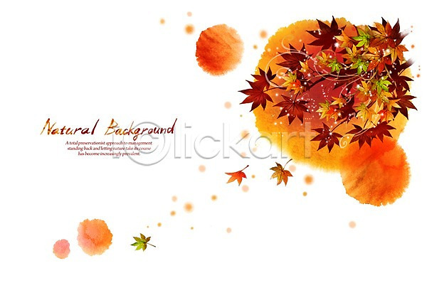 사람없음 PSD 실루엣 일러스트 가을(계절) 가을배경 낙엽 내추럴 단풍 백그라운드 붓터치 빨간색 선 식물 자연 캘리그라피 풍경(경치)