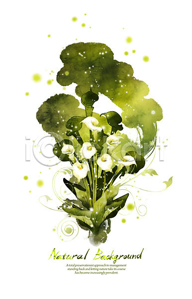 PSD 실루엣 일러스트 꽃 내추럴 덩굴 백그라운드 붓터치 선 식물 잎 자연 초록색 카라 캘리그라피 흰색