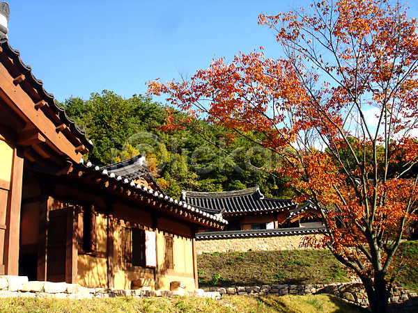 과거 사람없음 포토 건물 건축 건축물 고건축 기와 기와집 나무 동양건축 식물 야외 전통 전통문화 주간 주택 지붕 하늘 한국 한국건축 한국문화 한국전통 한옥