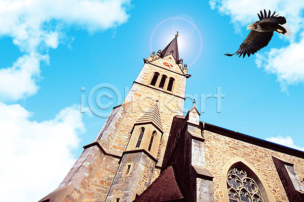 사람없음 PSD 편집이미지 건물 교회 기독교 독수리 동물 시계 시계탑 조류 종교 편집 하늘 한마리