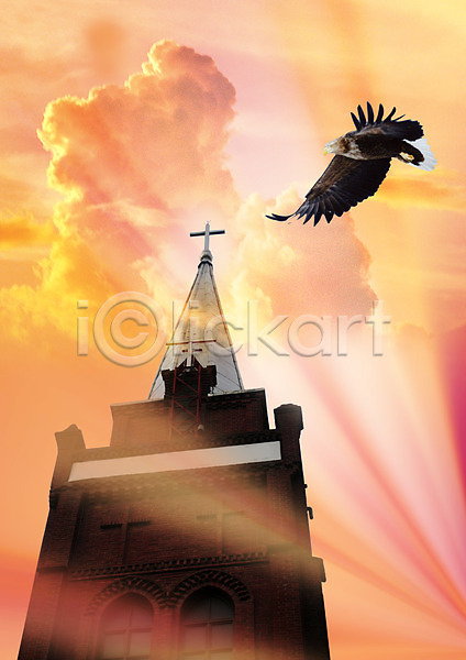 사람없음 PSD 편집이미지 건물 교회 구름(자연) 기독교 독수리 동물 빛 십자가 조류 종교 편집 하늘 한마리
