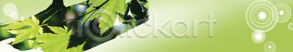 사람없음 PSD 배너템플릿 템플릿 가로배너 나뭇잎 배너 식물 이미지템플릿 잎 초록색