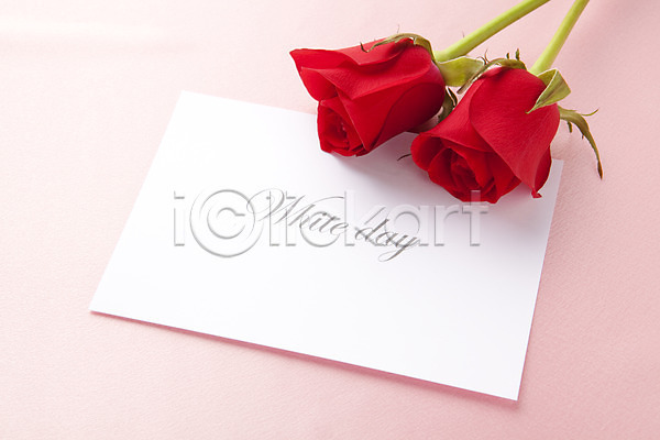 사람없음 JPG 포토 기념일 꽃 두송이 빨간색 선물 스튜디오촬영 실내 이벤트 장미 카드(감사) 화이트데이