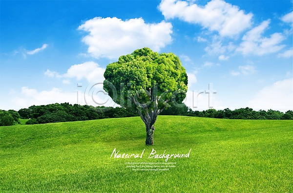사람없음 PSD 편집이미지 계절 구름(자연) 나무 백그라운드 봄 자연 잔디 초원(자연) 편집 풍경(경치) 하늘 한그루