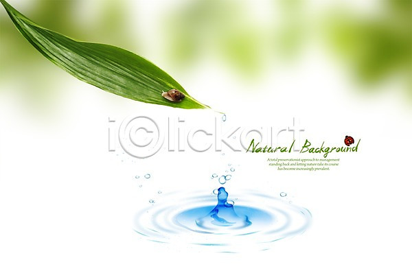 사람없음 PSD 편집이미지 계절 나뭇잎 달팽이(동물) 물 물결 백그라운드 봄 잎 자연 편집 풍경(경치)