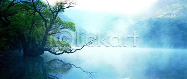 사람없음 JPG 포토 경상도 경상북도 국내포토 나무 물 반사 버드나무 식물 안개 야외 자연 저수지 주산지 주왕산 청송 컬러 파노라마 풍경 한국 호수