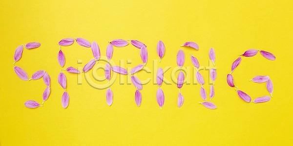 사람없음 JPG 포토 계절 국내포토 꽃 꽃잎 봄 수국 스튜디오촬영 식물 실내 알파벳 자연