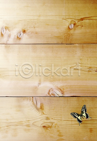 사람없음 JPG 포토 계절 곤충 나무판자 나비 동물 봄 산호랑나비 스튜디오촬영 실내 자연 한마리