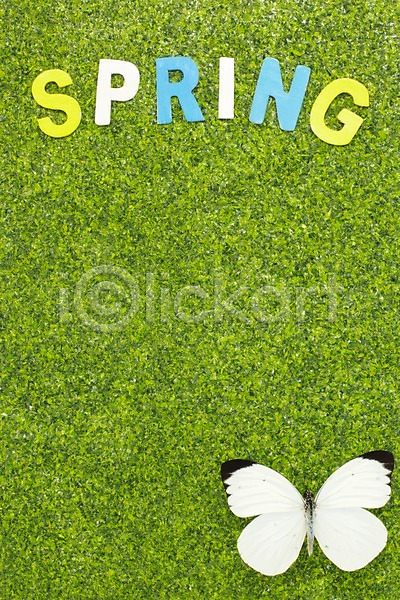 사람없음 JPG 포토 계절 곤충 나비 동물 봄 부니아에큰흰나비 스튜디오촬영 실내 알파벳 자연 잔디 한마리