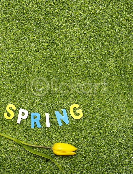 사람없음 JPG 포토 계절 꽃 노란색 봄 스튜디오촬영 식물 실내 알파벳 자연 잔디 튤립