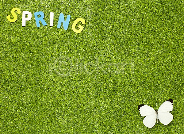 사람없음 JPG 포토 계절 곤충 나비 봄 부니아에큰흰나비 스튜디오촬영 실내 알파벳 자연 잔디 한마리