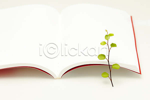 사람없음 JPG 포토 계절 공책 라이프 봄 생명 스튜디오촬영 식물 실내 잎 자연 책 트리안