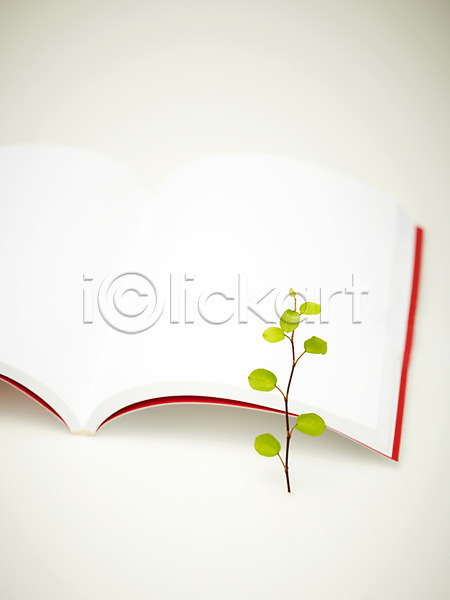 사람없음 JPG 포토 계절 공책 라이프 봄 생명 스튜디오촬영 식물 실내 잎 자연 책 트리안