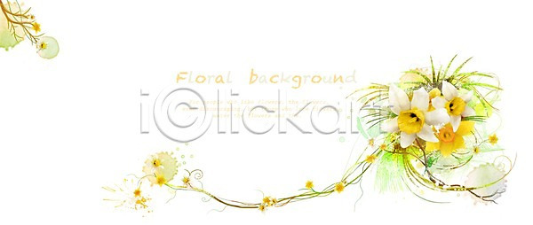 사랑 사람없음 PSD 일러스트 꽃 꽃말 꽃백그라운드 노란색 백그라운드 봄 봄꽃 봄배경 수선화 식물 식물백그라운드 파키스탄 흰색