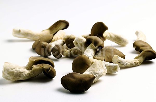 사람없음 JPG 포토 농작물 느타리버섯 다수 버섯 스튜디오촬영 식용버섯 식재료 실내 여러개 음식