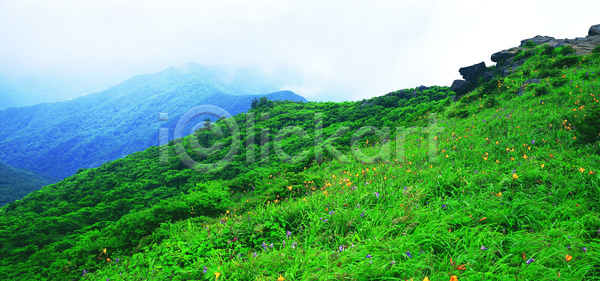상쾌 사람없음 JPG 포토 관광지 구름(자연) 국립공원 꽃 들꽃 산 식물 야외 언덕 자연 지리산 초록색 컬러 파노라마 풀(식물) 풍경(경치) 한국