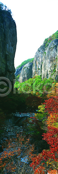 상쾌 JPG 포토 가을(계절) 계곡 관광지 국립공원 나무 다리(건축물) 단풍 돌(바위) 등산 등산객 바위(돌) 산 산기슭 식물 야외 여행객 자연 절벽 주왕산 컬러 파노라마 풍경(경치) 한국