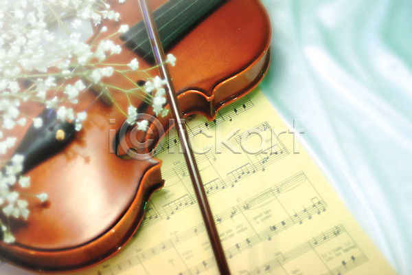 사람없음 JPG 아웃포커스 포토 하이앵글 꽃 바이올린 백그라운드 식물 실내 악기 악보 안개꽃 여러송이 컬러 활