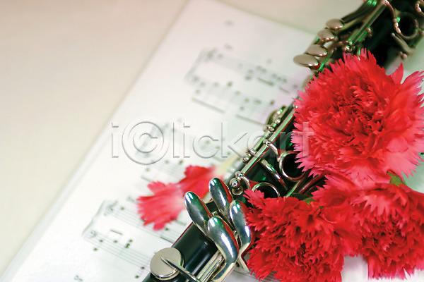 사람없음 JPG 아웃포커스 포토 하이앵글 꽃 꽃잎 백그라운드 빨간색 식물 실내 악기 악보 여러송이 카네이션 컬러 플루트