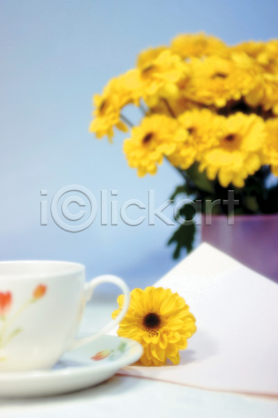 사람없음 JPG 아웃포커스 포토 꽃 꽃백그라운드 꽃병 노란색 데이지 백그라운드 식물 실내 여러송이 종이 찻잔 커피잔 컬러 컵받침