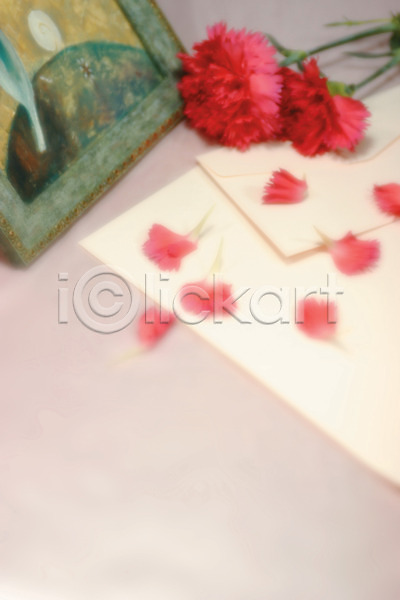 사람없음 JPG 아웃포커스 포토 하이앵글 꽃 꽃잎 두송이 백그라운드 빨간색 식물 실내 액자 종이 카네이션 카드(감사) 컬러 편지지